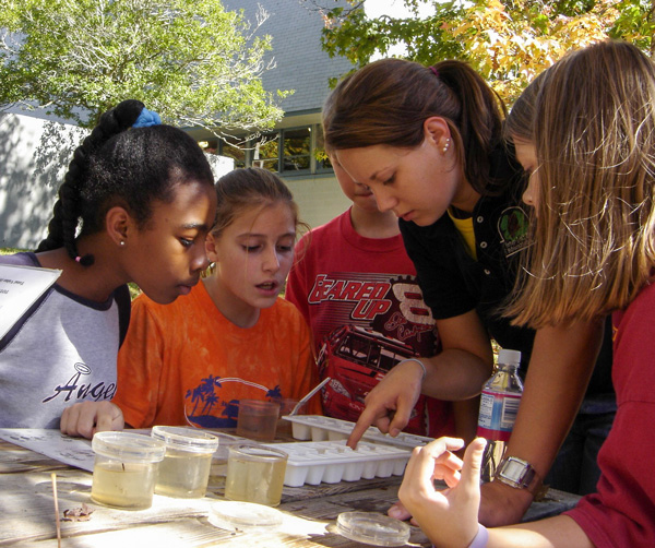 Facilitator and youth looking at pond water in ice cube trays.