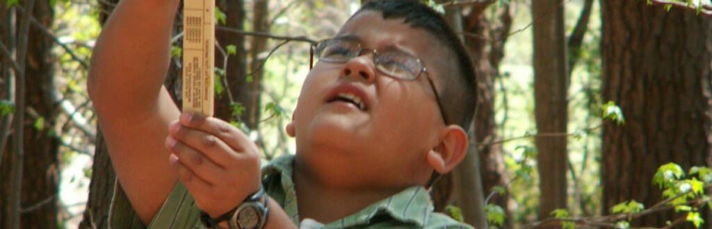 child measuring a tree