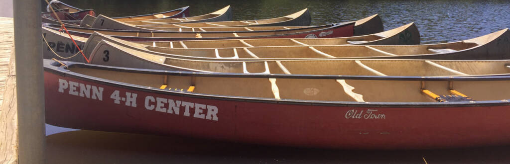 kayaks lined up in a row on the lake