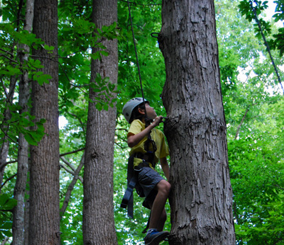 Climbing up a tree on the high ropes course.