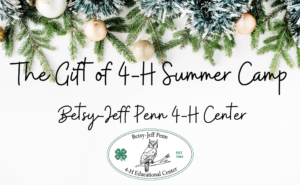 The Gift of 4-H Summer Camp