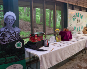 Silent auction table filled with items to bid on.