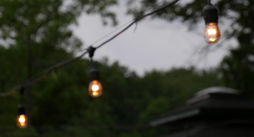 lights strung in the trees