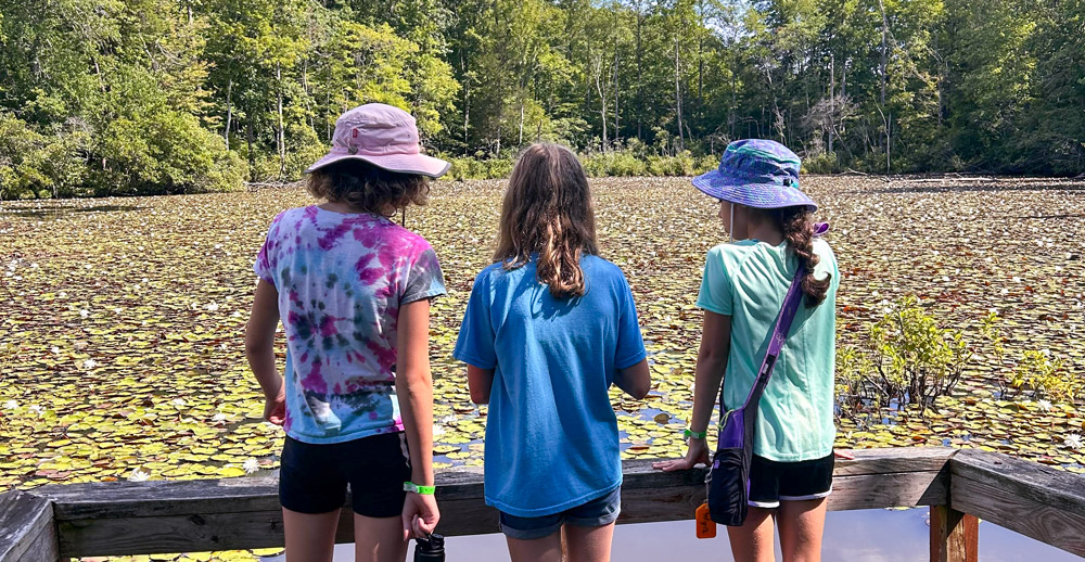 girls looks over the pond that is full of lilypads